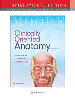 Clinical Anatomy.png